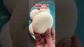 Idli batter Quick fermentation tipsandtricks tips kitchentips kitchentipsandtricks [upl. by Nhoj]