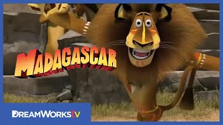 MADAGASCAR ESCAPE 2 AFRICA  Official Trailer [upl. by Jarred]