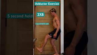 The best adductor exercise for you adductors exercises athomeworkout hipexercise [upl. by Amie773]