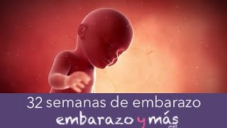 32 semanas de embarazo  Octavo mes  EMBARAZOYMAS [upl. by Tound]