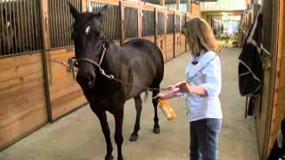 Absorbine Veterinary Liniment  Treat Lameness In Horses [upl. by Iruy]