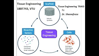 Tissue Engineering Module 1 Tissue TRAID [upl. by Ahseim59]