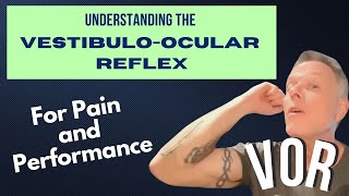 VOR Vestibuloocular Reflex For Pain And Performance [upl. by Olraced]