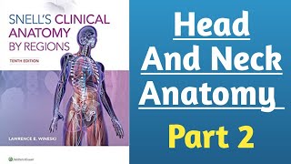 Snells Clinical Head And Neck Anatomy part 2 [upl. by Torrence]