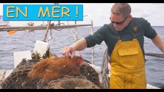 A DECOUVRIR Paulette la poule libre vous emmène en Mer épisode 4 [upl. by Driscoll]