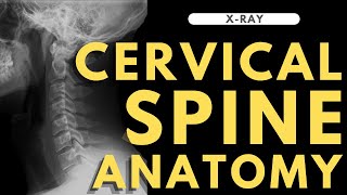 Cervical spine anatomy  Radiology anatomy part 1 prep  Cspine Xray interpretation [upl. by Acinomal]