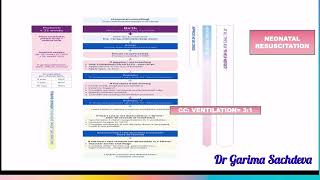 Nhs neonatal resuscitation protocol [upl. by Heiner]