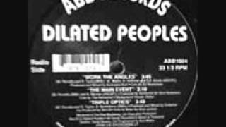 Dilated Peoples  Work The Angles Remix [upl. by Ttcos]