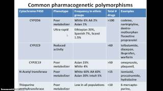 genetic polymorphisms and drug metabolism [upl. by Kirsti]