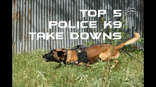 Top 5 Police K9 Take Downs [upl. by Ahsiekrats314]