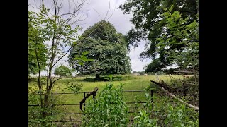 Finding Lost Norton Park Digging Deeper for All Graves Parks heritage uncovered [upl. by Betthezul]