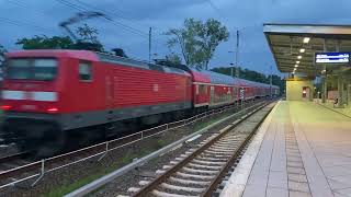 Sichtungen aus Elstal Bergfelde und Glienicke Nordbahn in der Nähe von Berlin [upl. by Schaefer242]