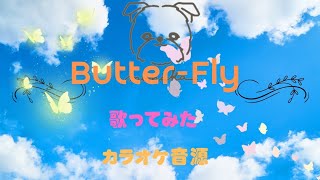 ButterFly 歌ってみたカラオケ音源 [upl. by Yardley]