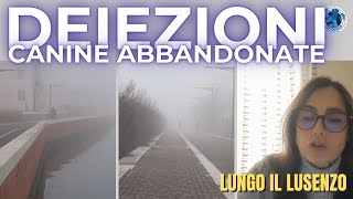 LUNGO LUSENZO LUOGO DEPUTATO ALLE DEIEZIONI CANINE ABBANDONATE [upl. by Ainatit]