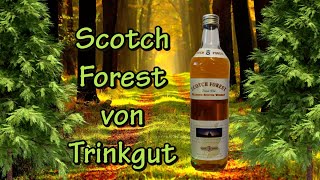 Scotch Forest  Blended Scotch Whisky von Trinkgut  Verkostung  Cheap Mr Z [upl. by Chally405]