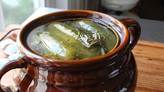 Homemade Dill Pickles  How to Make Naturally Fermented Pickles [upl. by Erodisi]