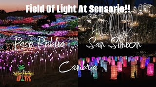 Field Of Light At Sensorio pasorobles [upl. by Elbertina]