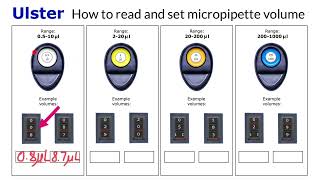 Micropipet volume quiz [upl. by Oys361]