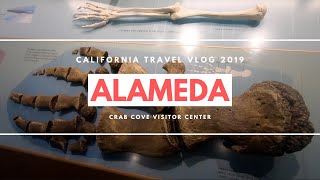 Where to Take Your Kids in Alameda California  Crab Cove Visitor Center [upl. by Leith]