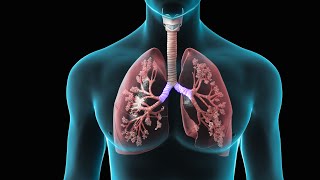 Spirometry  Test for Lung Function  Nucleus Health [upl. by Malissia]