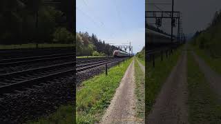 SBB Schnellzugsichtungen bei Buchs Rupperswil im Kanton Aargau [upl. by Jessika]