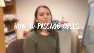 Passaging Cells [upl. by Otsirc]