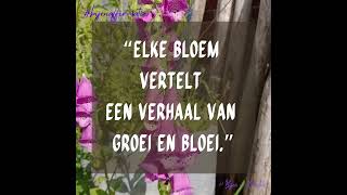 bijen en kruiden affirmaties quotes bijen natuurmonumenten [upl. by Atikehs54]