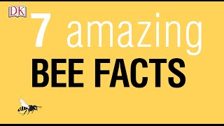 7 Amazing Bee Facts [upl. by Yentruocal]