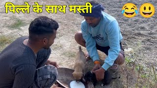 पिल्लों के साथ मस्ती  Akhilesh vlog comedy [upl. by Anyel]