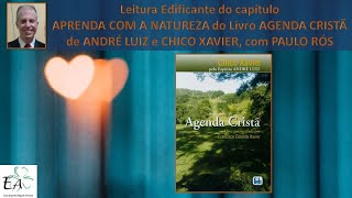 Leitura Edificante APRENDA COM A NATUREZA  AGENDA CRISTÃ  ANDRÉ LUIZ e CHICO XAVIER PAULO RÓS [upl. by Thay273]