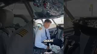 Why the Pilot’s Cockpit Is the Safest Place on a Plane [upl. by Lower]