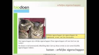 Biodoen  eigenschappen en chromosomen 1 van 5 [upl. by Napas]