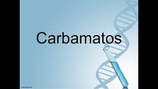 Carbamatos [upl. by Otir352]