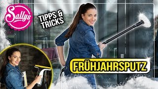 Frühjahrsputz  Tipps und Tricks  DIY  Sallys Welt [upl. by Assilram]