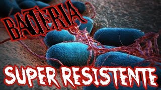 BACTERIA SUPER RESISTENTE ESCHERICHIA COLI [upl. by Ramor]