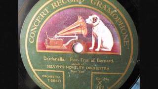 Ben Selvin amp his Orchestra  Dardanella  1919 [upl. by Enibas685]