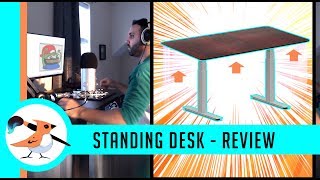 AnthroDesk Standing Desk  Review [upl. by Ardnac228]