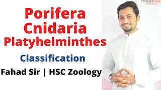 02 Porifera  Cnidaria  Platyhelminthes  HSC Zoology Chapter 1  Major Phylum part 1 [upl. by Star]