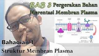 KSSM Bio Ting 4  Bab 3  Pergerakan Bahan Merentasi Membran Part 1 Struktur Membran Plasma [upl. by Fenwick]