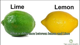 What is difference between lemon and Lime [upl. by Ahgem281]