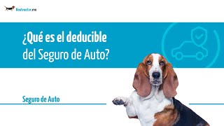 ¿Qué es el deducible del Seguro de Auto  Rastreatormx® [upl. by Daphie]