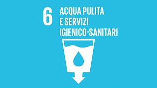 Agenda 2030 Obiettivo 6 Acqua pulita e servizi igienico sanitari [upl. by Broddie]