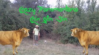 Crazy Transmontano  Chin Glin Din Tradicional Mirandesa [upl. by Eibbed909]