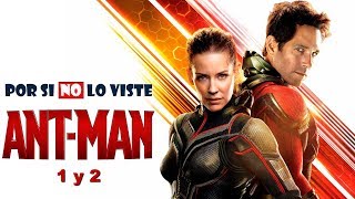 AntMan y la Avispa TRAILER 2 Marvel  Ant Man 2 [upl. by Edmead]