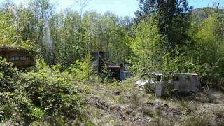 Property Full of Abandoned Logging Equipment [upl. by Marras501]