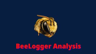 Malware Analysis  Analyzing The BeeLogger KeyLogger [upl. by Nehcterg533]