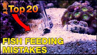 Choose the right fish foods for your saltwater tank and dont make these Top Fish Feeding Mistakes [upl. by Elcarim]