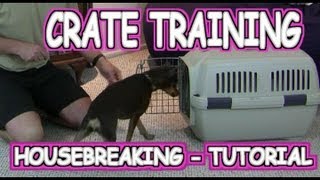 Crate Training a Puppy  Housebreaking  Tutorial [upl. by Delaney717]