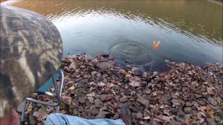 Bait Fishing Fall Bullhead and Perch [upl. by Idhem]