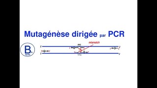 Mutagénèse dirigée par PCR [upl. by Ade]